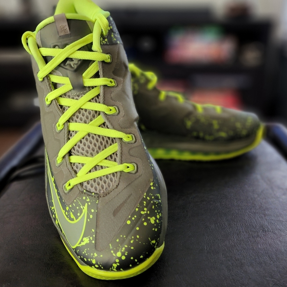 LeBron XI Low Sz10